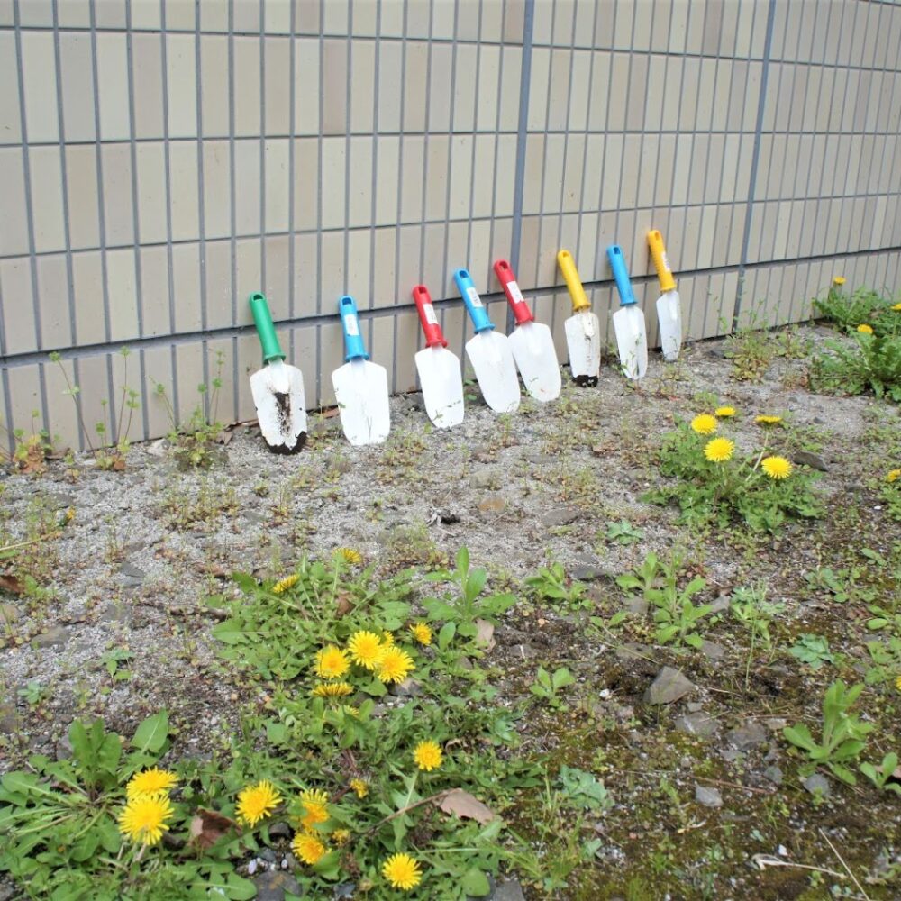 ちょっと休憩 （栽培活動：1年生）